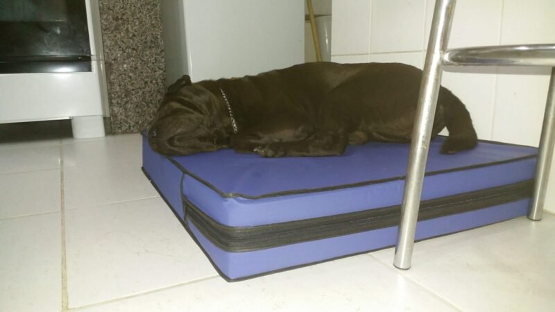 Colchão Para Cães Impermeável 40x50x10 - Imagem 11