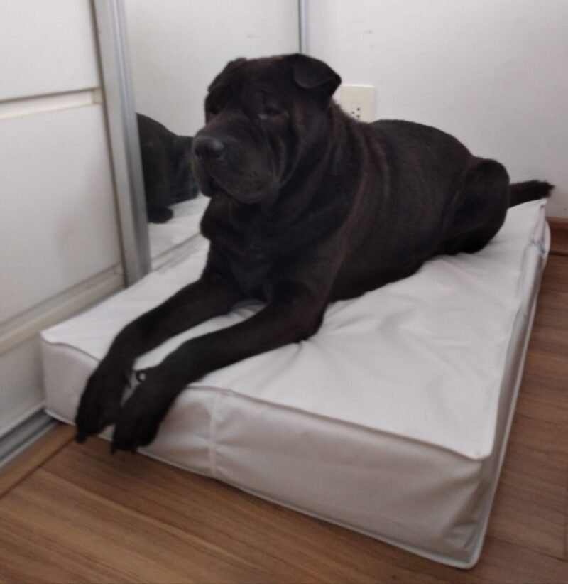 Colchão Para Cães Impermeável 40x50x10 - Imagem 16