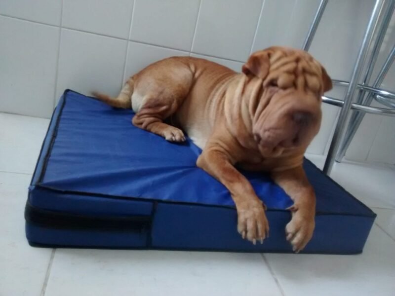 Colchão Para Cães Impermeável 40x50x10 - Imagem 3