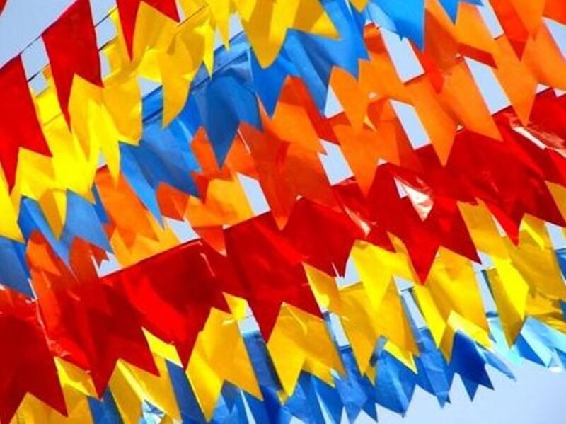 Bandeirinha Festa Junina TNT Reutilizável 10 Metros - Imagem 2